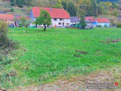 Vente Terrain ROMBACH-LE-FRANC  68