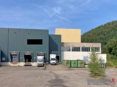 Vente Commerce SAINTE-MARIE-AUX-MINES 68160