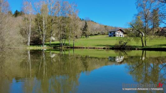 Vente Maison 6 pi�ces COINCHES 88100