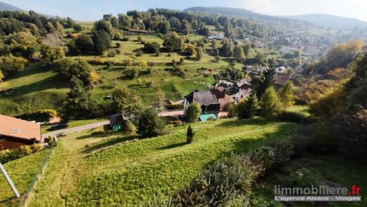 Vente Terrain WILDERSBACH 67130