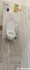 Louer Appartement Saint-herblain 400 euros