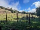 Vente Terrain Saint-julien ACCESSIBLE 34390