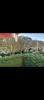 Acheter Appartement Nice 310000 euros