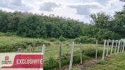 Vente Terrain Brive-la-gaillarde 19