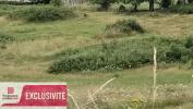 Annonce Vente Terrain Brive-la-gaillarde