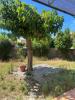 Acheter Maison Isle-sur-la-sorgue Vaucluse