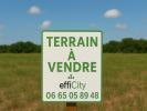 Vente Terrain Langeais 37130 303 m2