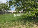 Acheter Terrain 690 m2 Lussac