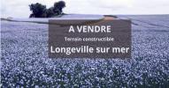 Vente Terrain Longeville-sur-mer 85