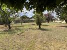 Land CISSAC-MEDOC 