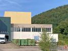 Annonce Vente Commerce Sainte-marie-aux-mines