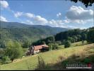 Acheter Maison Sainte-marie-aux-mines Haut rhin
