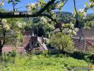 Acheter Maison Sainte-marie-aux-mines 120000 euros