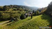 Annonce Vente Terrain Wildersbach