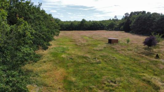Vente Terrain VILLEFRANCHE-SUR-CHER  41