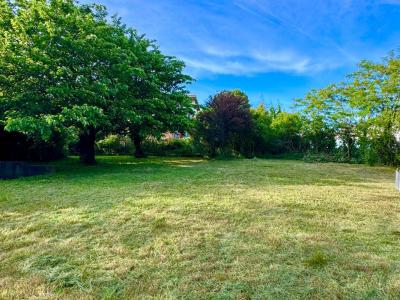 Vente Terrain SAINT-PRIEST 69800