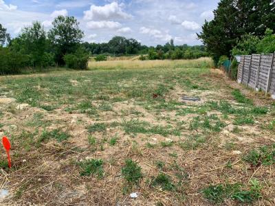 Vente Terrain BOURG  33