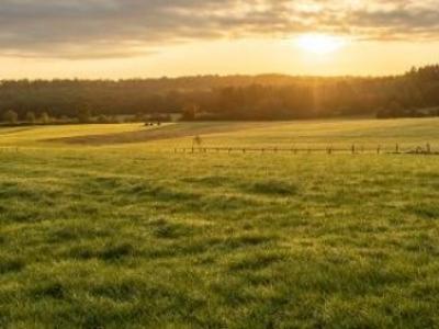 Vente Terrain BONNOEUVRE VALLONS-DE-L'ERDRE 44