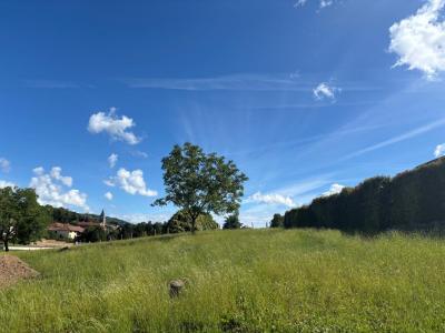 Vente Terrain SAINT-BLAISE-DU-BUIS 38140