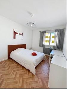 Location Appartement SAINT-ETIENNE 