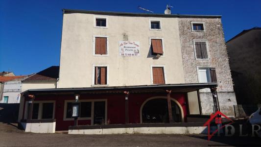 Vente Immeuble BOURBONNE-LES-BAINS 52400