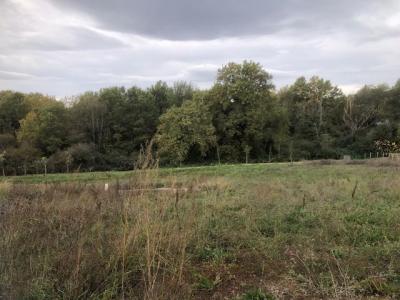 Vente Terrain BOULOC  31
