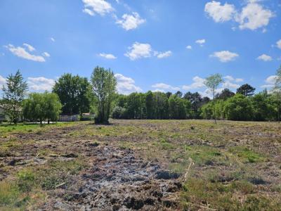 For sale Land CADAUJAC  33