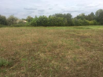 Vente Terrain PRIGNAC-ET-MARCAMPS 33710