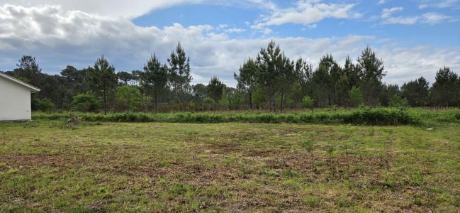 Vente Terrain PARENTIS-EN-BORN  40