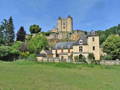 Vente Prestige SALIGNAC-EYVIGUES 24590