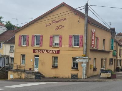 Vente Maison 10 pi�ces PORT-SUR-SAONE 70170