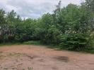 Vente Terrain Vagney 88