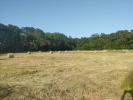 Annonce Vente 7 pièces Maison Montpon-menesterol