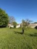 Annonce Vente Maison Dagneux