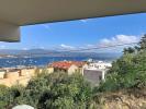Location Commerce Ajaccio 20