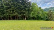 Annonce Vente Terrain Ban-de-laveline