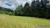 Acheter Terrain Ban-de-laveline Vosges