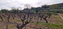 Annonce Vente Terrain Fontes
