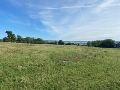 Vente Terrain CHEYSSIEU 38550