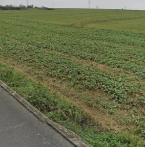 Vente Terrain PERIGNY 17180