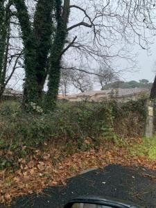 Vente Terrain GUJAN-MESTRAS 33470