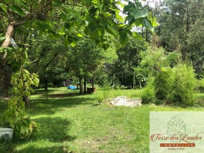For sale House LOSSE 