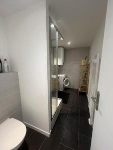 For rent Apartment SAINT-ETIENNE 