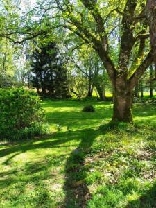 For sale House LOCMALO 