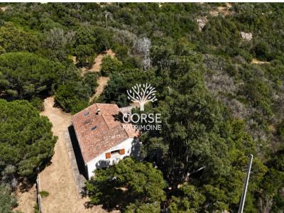Vente Maison 7 pi�ces SOTTA 20146