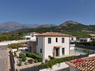 Vente Maison 5 pi�ces CALENZANA 20214