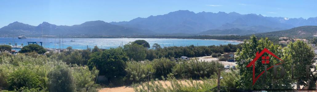 Vente Appartement 3 pi�ces CALVI 20260