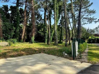 Vente Terrain SAINT-MEDARD-EN-JALLES 33160