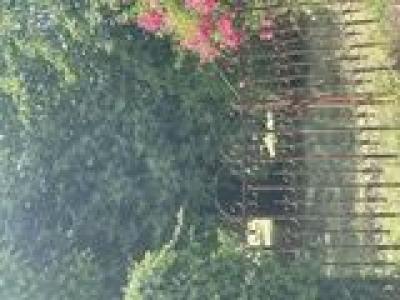 Vente Terrain GUJAN-MESTRAS 33470