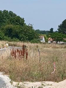 Vente Terrain SAINTES 17100